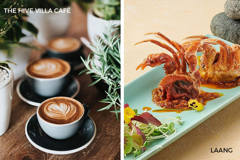 Thao Dien Vietnam Guide the Hive Villa Cafe Laang